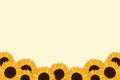 Sunflower background