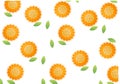 Sunflower background with natural theme Royalty Free Stock Photo