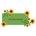 Sunflower banner Royalty Free Stock Photo