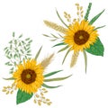 Sunflower, barley, wheat, rye, rice and oat. Collection decorative floral design elements.