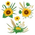 Sunflower, barley, wheat, rye, rice and oat. Collection decorative floral design elements.