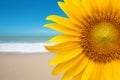 Sunflower on the beach Royalty Free Stock Photo
