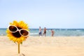 Sunflower on the beach Royalty Free Stock Photo