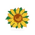 Sunflower beading pattern. Pixel sunflower image.