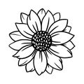 Sunflower black linear drawing.