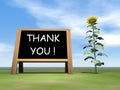 Sunflower blackboard saying thank you - 3D render