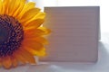 Sunflower and blank notepaper for self note reminder or self motivation memo on white table background