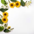 Sunflower border for any wedding invitation or birthday card Royalty Free Stock Photo