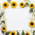 Sunflower Border Artistry Fresh Blooms Royalty Free Stock Photo