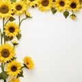 Sunflower border for a creative and artistic endeavor