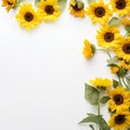 Sunflower border for a creative and artistic endeavor