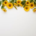 Sunflower border for a creative and artistic endeavor