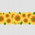 Sunflower Border Isolated Transparent Background