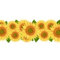 Sunflower Border Isolated White Background Royalty Free Stock Photo