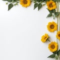 Sunflower border to make your design stand out Royalty Free Stock Photo