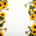 Sunflower border to make your design stand out from the crowd Royalty Free Stock Photo