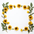 Sunflower border to make your design stand out Royalty Free Stock Photo