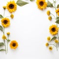 Sunflower border to remind you to live each day to the fullest