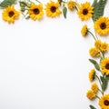 Sunflower border to remind you to live each day to the fullest