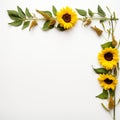 Sunflower border for a way to make someone smile