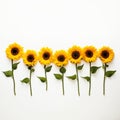Sunflower border for a way to make the world a better place