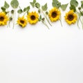 Sunflower Border on White Serene Simplicity