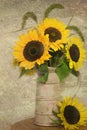 Sunflower bouquet Royalty Free Stock Photo