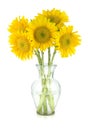 Sunflower Bouquet Royalty Free Stock Photo