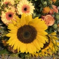 Sunflower bouquet in vivid yellow and orange colors Royalty Free Stock Photo