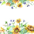 Sunflower bouquet floral botanical flowers. Watercolor background illustration set. Frame border ornament square. Royalty Free Stock Photo