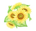 Sunflower bouquet, hand painted watercolor illustration. Bunch of yellow autumn flowers with leaves isolated on white Royalty Free Stock Photo