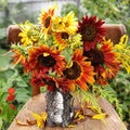 Sunflower bouquet retro Royalty Free Stock Photo