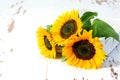 Sunflower bouquet on the white box and on the white rustic vintage background closeup. Nice greeting card design