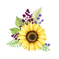 Sunflower bright garden flower decor. Watercolor illustration. Sunflower flower, lavender, privet berries, green leaves