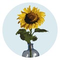 Sunflower bright and picturesque for your designs Royalty Free Stock Photo