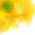 Sunflower. Bright Sunny yellow flower on watercolor background. Royalty Free Stock Photo