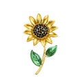 Sunflower brooch isolated on white background Royalty Free Stock Photo