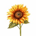 Sunflower Clipart: Vector Art Of Heather Theurer Style Flower