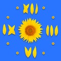 Sunflower clock dial on blue background, isolate Royalty Free Stock Photo