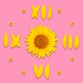 Sunflower clock dial on pink background, isolate Royalty Free Stock Photo