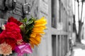 Sunflower with colored flowers bouquet in vertical grave Royalty Free Stock Photo