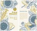 Sunflower and corn gesign template. Sunflower banners. Vector hand drawn illustration. Can be use for organic and