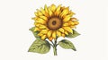 Sunflower 3D realism and engraving styles illustration.