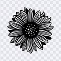 Sunflower daisy flower stylized black and white silhouette illustration Royalty Free Stock Photo