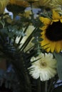 Sunflower Daisy green yellow white green floral Display