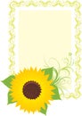 Sunflower in the decorative frame Royalty Free Stock Photo