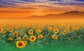 Sunflower Field.Summer Sunset.Beautiful Nature Background.Artistic Wallpaper.Art Photography.Summer Landscape.Sky,clouds,sun. Royalty Free Stock Photo