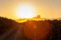 Sunflower field at sunrise along the Chemin du Puy, French route of the Way of St James Royalty Free Stock Photo