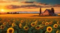 Sunflower field on sunset. Beautiful nature landscape panorama. Farm field idyllic scene. Royalty Free Stock Photo