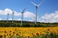 Sunflower field with windmill Royalty Free Stock Photo